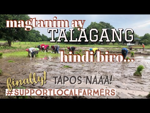 FINALLY! LAST PART of TARA! Sa aming munting bukid. || #MissLAtriestoVLOG || VLOGGING SERIES