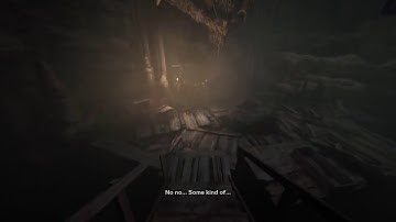 Insane Mode Stupid Death (Outlast 2)