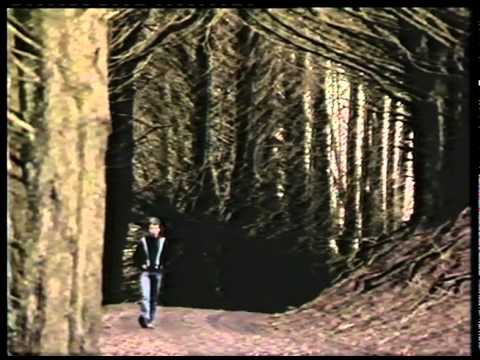 The Chills - Pink Frost