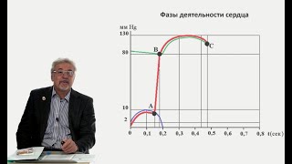 видео: Евсеев А.В. Нормальная физиология. Лекция №12. Фазы и физические проявления деятельности сердца.2023 картинка: Евсеев А.В. Нормальная физиология. Лекция №12. Фазы и физические проявления деятельности сердца.2023