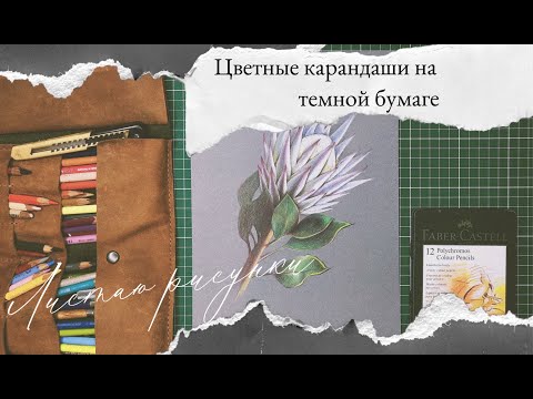 Мои рисунки цветными карандашами на цветной бумаге