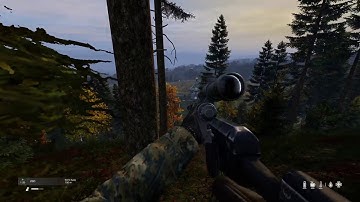 DayZ 1.10 VSD kill