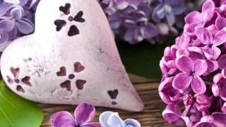 The Sattalites  Gimme Some Kinda Sign 