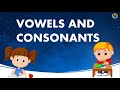 Understanding Vowels and Consonants