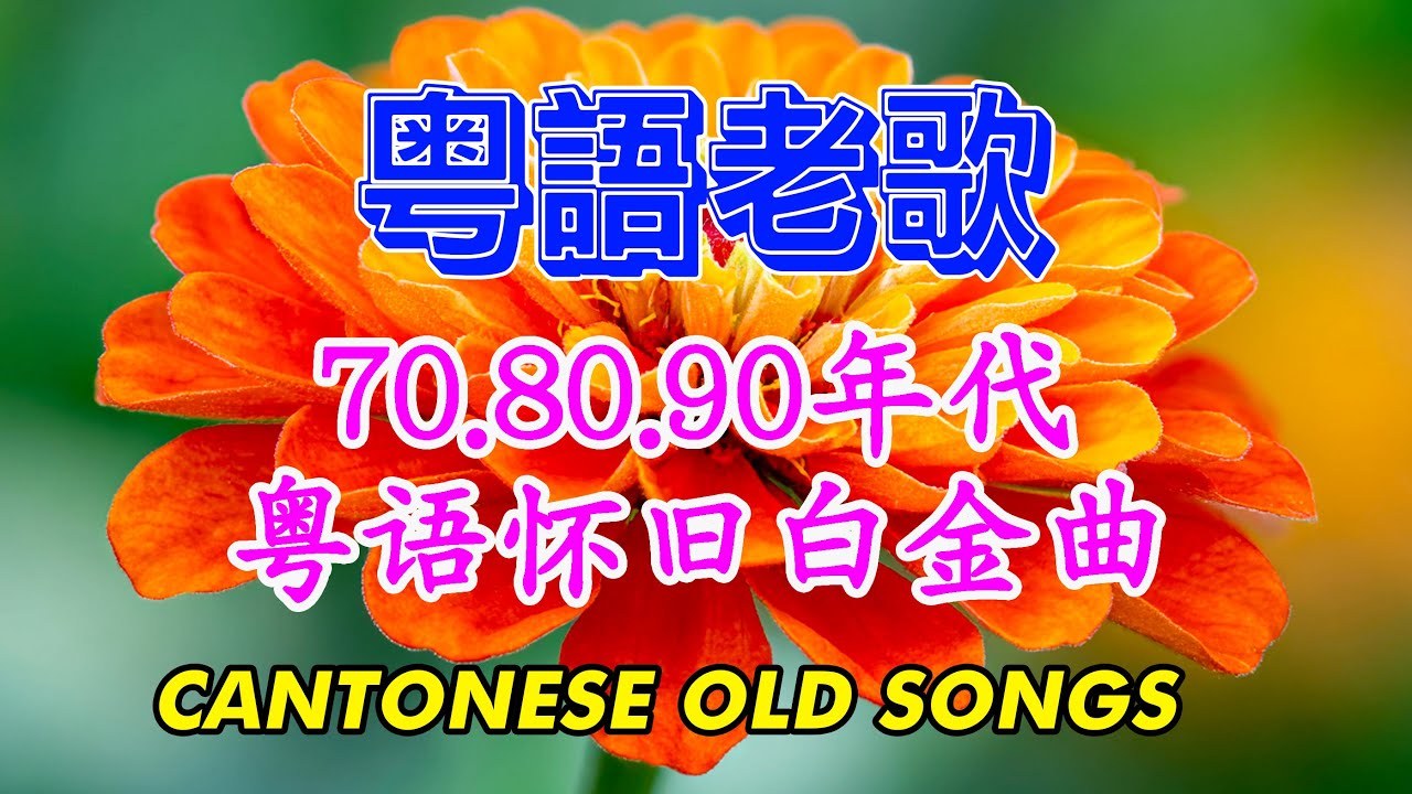 【粵語經典金曲】70，80，90年代粤语怀旧白金曲 📀 怀旧记忆值得收藏－容易受伤的女人，万水千山总是情，天才白痴往日情，双星情歌 - 每天必听的歌 Cantonese Old Songs