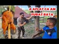 A aflat Cornel ca am mâncat RAȚA la Rotisor la Căsuța din Pădure !