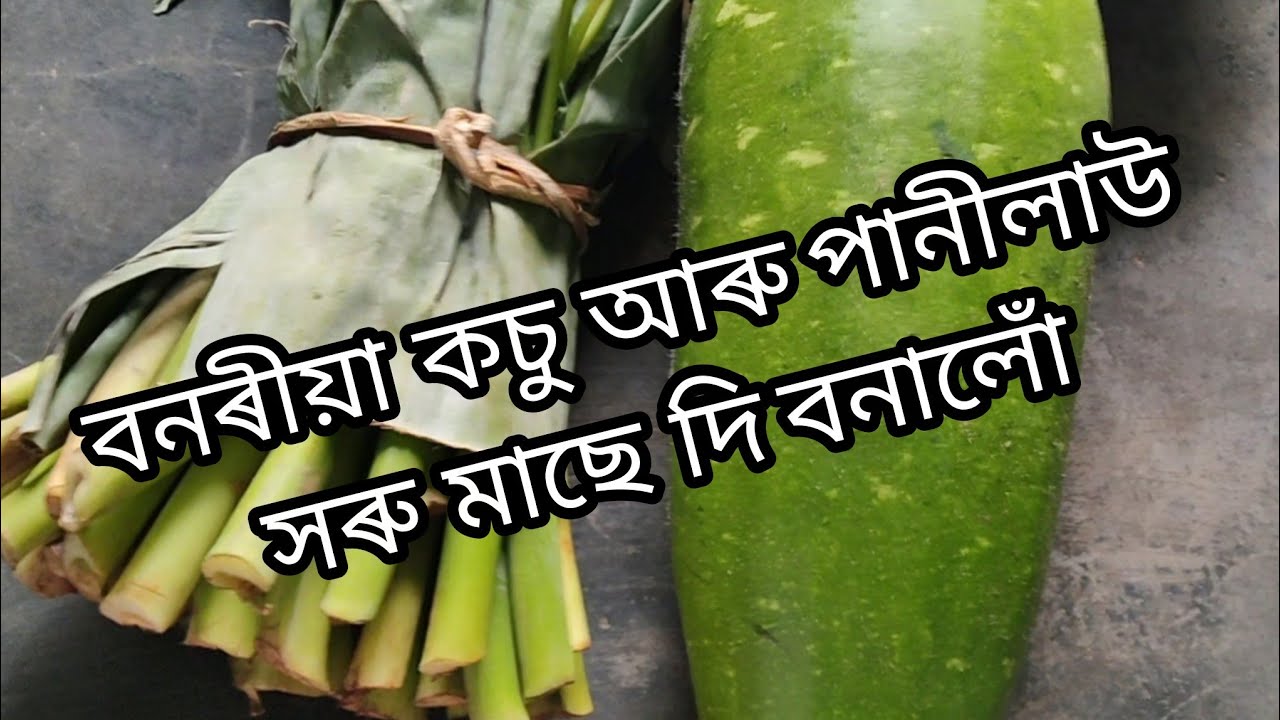 বনৰীয়া কচু সৰু মাছৰে ভাজি আৰু তাজা তাজা পানীলাউৰে সৰু মাছৰ থুপথাপকৈ বনালোঁ।