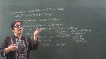 BIO-X-01-11,Transportation introduction and blood,Pradeep Kshetrapal channel