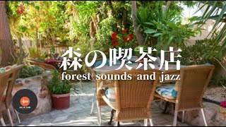 Ambient sounds + JAZZ Gentle forest coffee shop Relaxing work/study CAFE MUSIC  BGM for work
