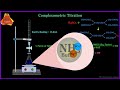 Complexometric Titrations Animation | Principle and Mechanism | Complexometry | MgSO4 Estimation