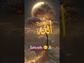 jab bhi gira hun tune Tham liya #viralvideo #islamicstoriesinurduandhindi