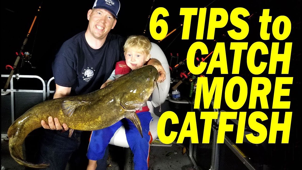 Catfish Fishing Tips - Tips on How to Catch Catfish
