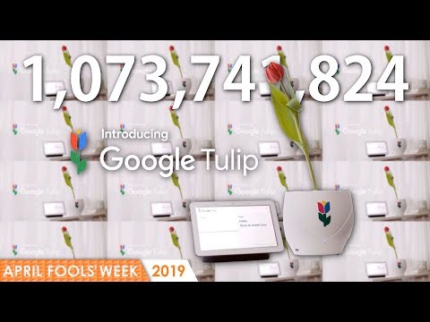 GOOGLE TULIP  - 1,073,741,824 times | April Fools' Week 2019 | 4k
