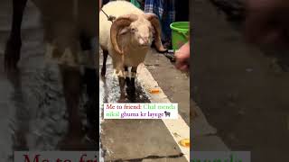 Vilayati Menda Lover Be Like 😂 (Watch Till End)