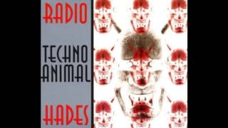 Techno Animal - Radio Hades - 10   Needle
