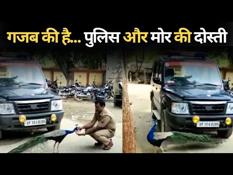 सावन में मोर से हुई UP Police की दोस्ती वीडियो वायरल | Sawan | Viral Video