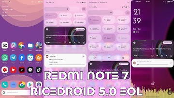 Redmi Note 7 riceDroid 5.0 EOL Android 12.1