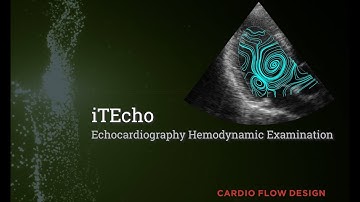 iTEcho™