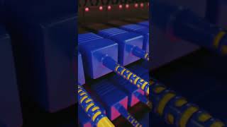 Fiber Optics Showdown – Long vs Short Range and Single vs MM
