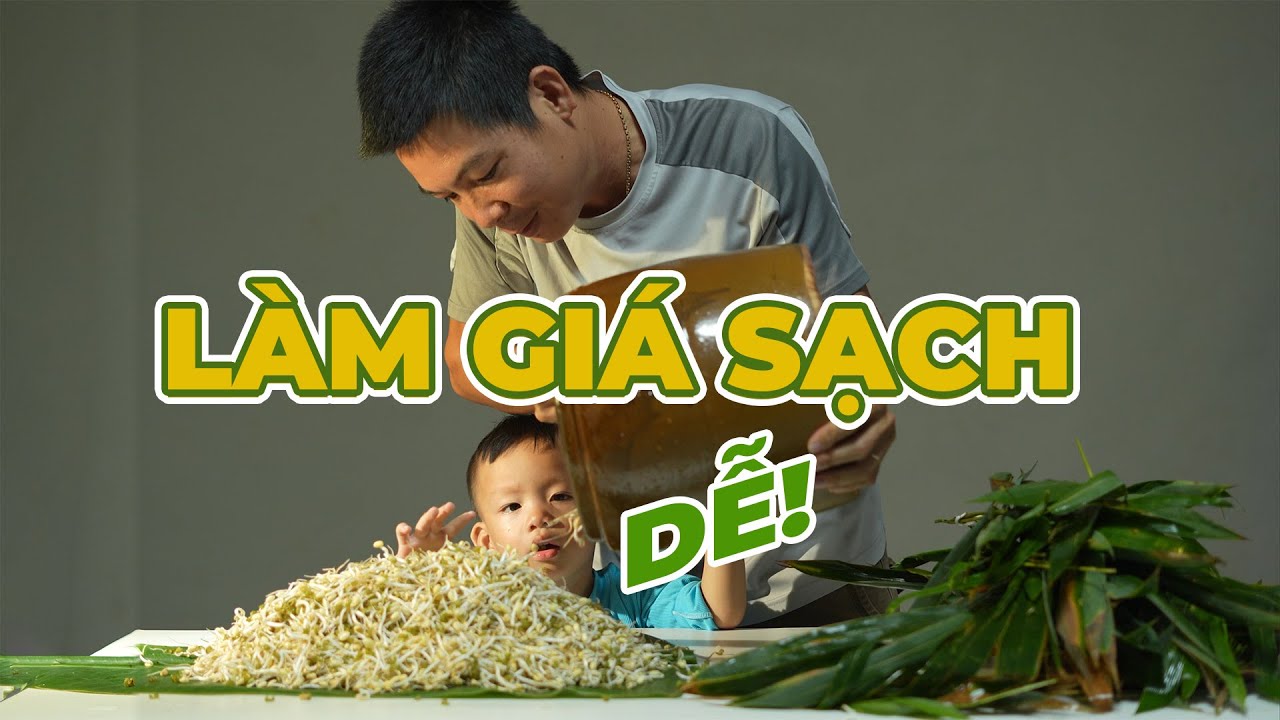 LÀM GIÁ ĐẬU XANH SẠCH TẠI NHÀ DỄ DÀNG | THUỘC THÂN THIỆN