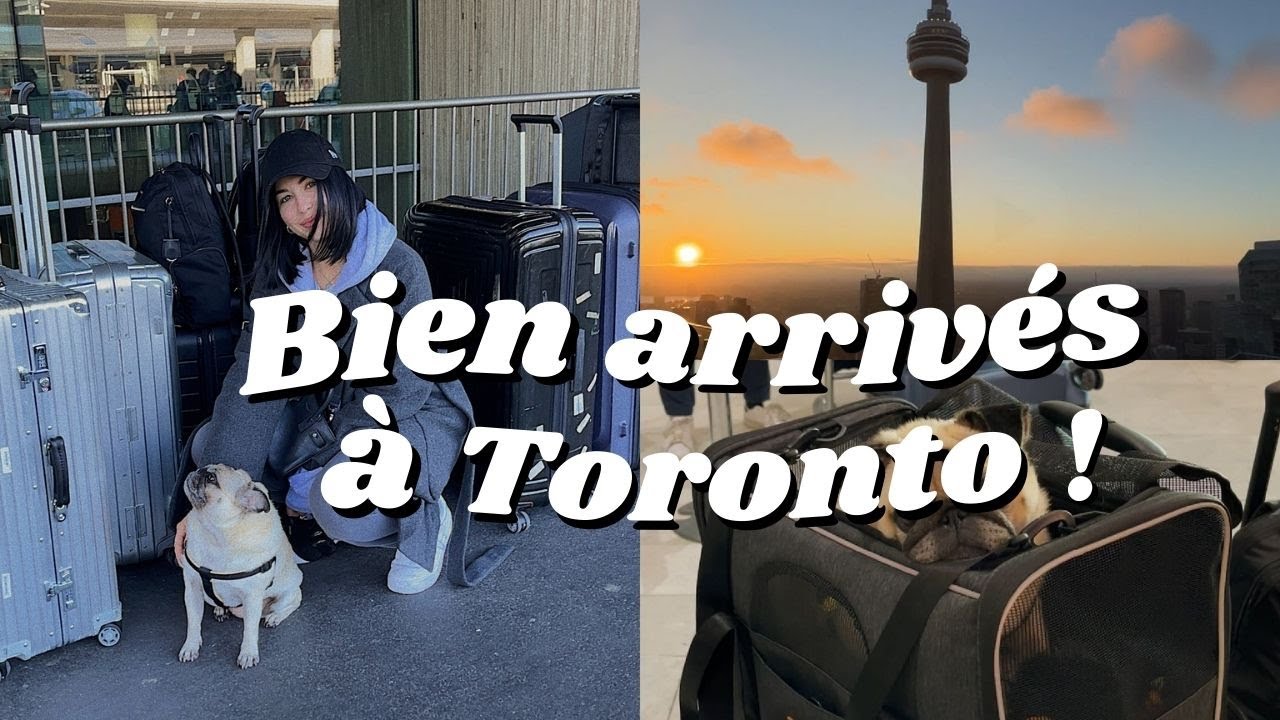 Bien arrivés à Toronto *on a déjà bien avancé sur l'installation* !