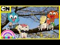 The Amazing World of Gumball | Gumball And The Poor Old Goats | Cartoon Network UK 🇬🇧