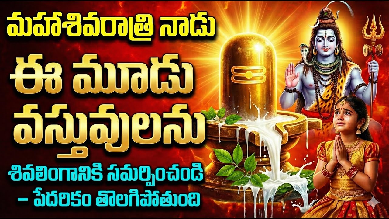 2026 మహాశివరాత్రి నాడు, ఈ మూడు వస్తువులను నిశ్శబ్దంగా శివలింగానికి సమర్పించండి, పేదరికం తొలగిపోతుంది