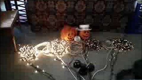 LOR Finished Test Sequence (It