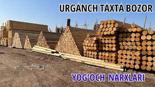 XORAZM VILOYAT URGANCH TAXTA BOZOR YOG'OCH NARXLARI 24/10/2023 y.