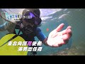 【海男出任務  水中育嬰小軟絲噴出 】│2021.08.29│東北角 搶先看 《台灣第一等》