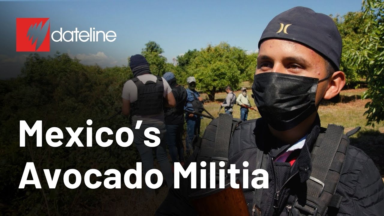 Mexico’s Avocado Militia | SBS Dateline Mexico’s Avocado Militia | SBS Dateline
