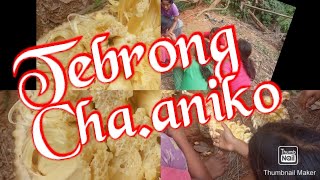 Tebrong chaaniko||Jackfruit||Paiporot Channel Official Channel