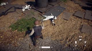Waving Stormtrooper Glitch - Star Wars Battlefront 2