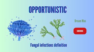 Opportunistic fungal infections definition | Dream Max