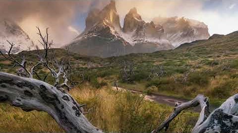 سوره طه||بصوت الشيخ غسان الشربجي🌹💚