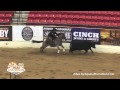 2015 nrcha stakes open champion  blind sided shown by jay mclaughlin