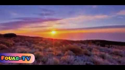 تلاوة هادئة تريح القلب 💚 راحة نفسية  💚 القران شفاء الروح  💚