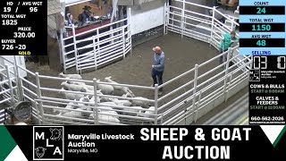5/10/2024 -Maryville Livestock Auction - Sheep & Goat