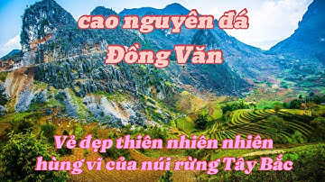 Khám phá cao nguyên đá Đồng Văn vẻ đẹp thiên nhiên hùng vĩ của núi rừng Tây Bắc