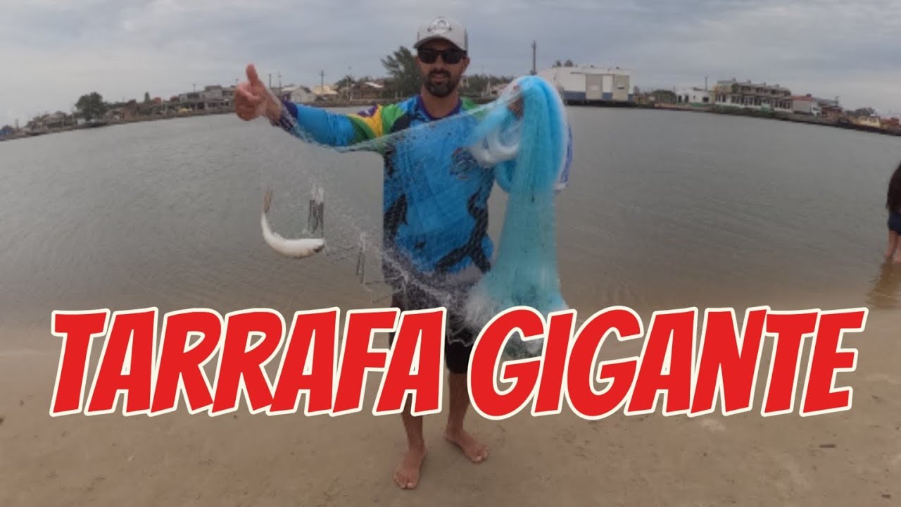 Tarrafa de 26 braças boto na boca da barra