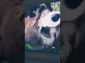 Funny Masha And Bear 