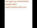SeoSchweiz.net Seo google ads switzerland