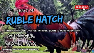 Ruble Hatch Gamefowl Bloodline | History, Traits, Breeding Secrets & Legacy of Billy Ruble