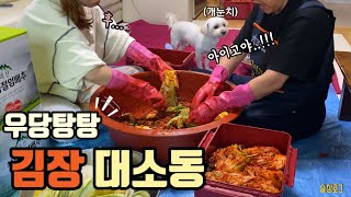 [술상로그][SUB] 4시간 안에 4인가구 김장을 끝내야한다. 마음은 바쁜데 끝이 안 보이는 겨울 김장 브이로그 | 수육에 소맥 반주 | Making kimchi vlog