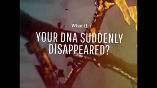 Information What if our DNA suddenly disappeared  Update
