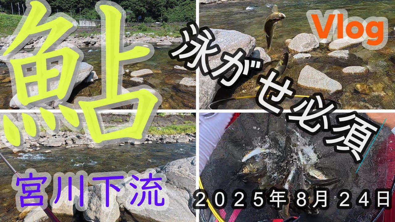 【宮川下流】泳がせ必須　２０２５．０８．２４