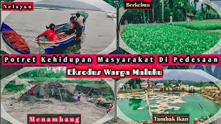 Potret Kehidupan Masyarakat Di Pedesaan Sulawesi Tenggara Batauga, Buton Selatan