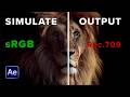 After Effects Output Simulation Explained (Color Profiles & Preserve RGB)