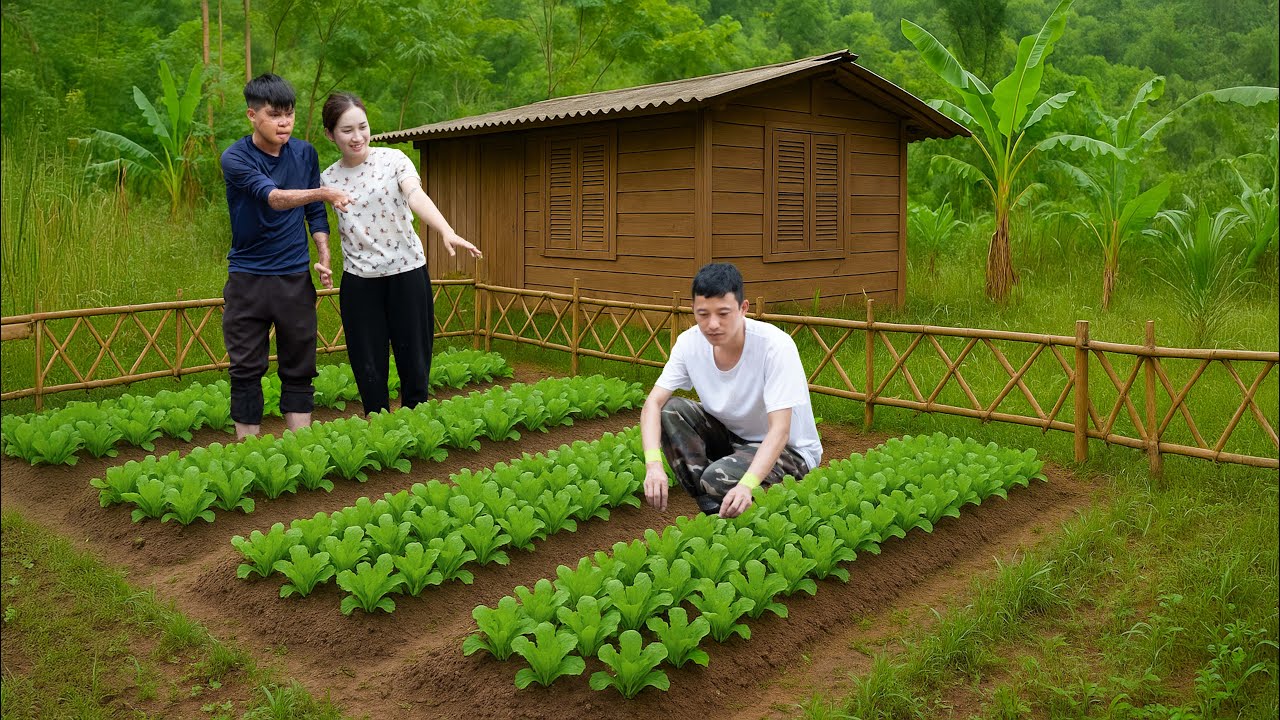 CEO Leaves Luxury Life For The Wild Forest | Off-Grid Survival With Wild Pineapples & Vegetables