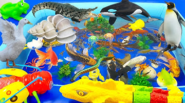 Động vật dễ thương,bạch tuộc,cá sấu,ốc,cá heo,cá mập,cá đuối,chim cánh cụt,thằn lằn,cá voi,cá chép